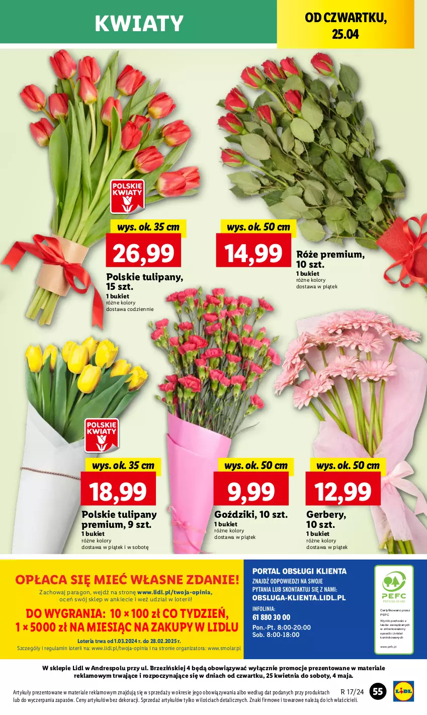 Gazetka promocyjna Lidl - GAZETKA - ważna 25.04 do 28.04.2024 - strona 59 - produkty: Bukiet, Dres, Gerber, Gra, Mola, Tulipan