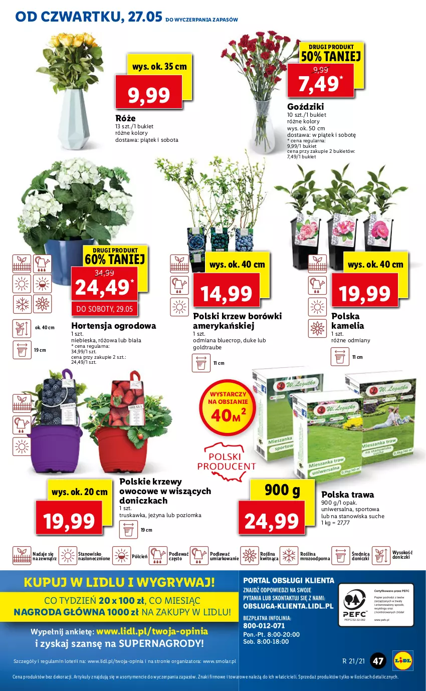 Gazetka promocyjna Lidl - GAZETKA - ważna 27.05 do 29.05.2021 - strona 47 - produkty: Bukiet, Cień, Gry, Mola, Por, Sok, Sport