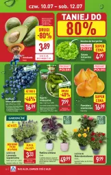 Gazetka promocyjna Aldi - Pełna oferta - Gazetka - ważna od 12.07 do 12.07.2025 - strona 30 - produkty: Sok, Róża, Ananas, Tera, Palma, Sałat, Burger, Pomidory