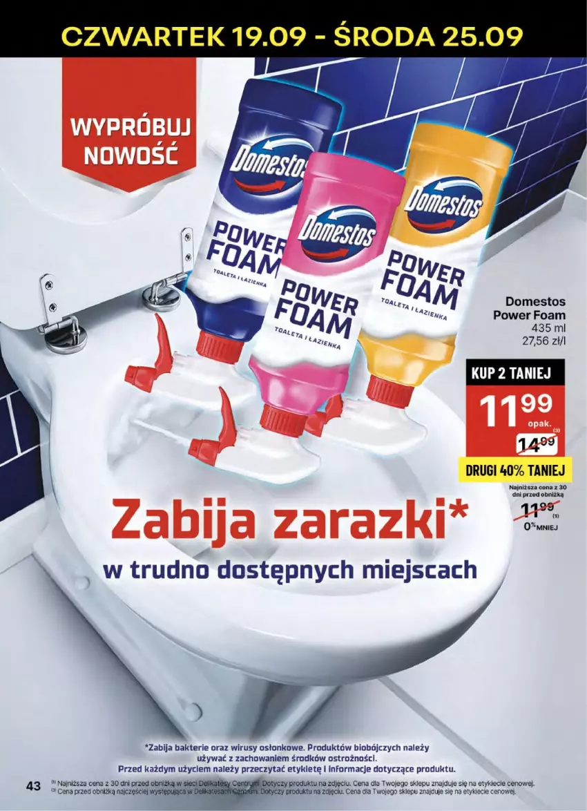 Gazetka promocyjna Delikatesy Centrum - NOWA GAZETKA Delikatesy Centrum od 19 września! 19-25.09.2024 - ważna 19.09 do 25.09.2024 - strona 43 - produkty: Domestos