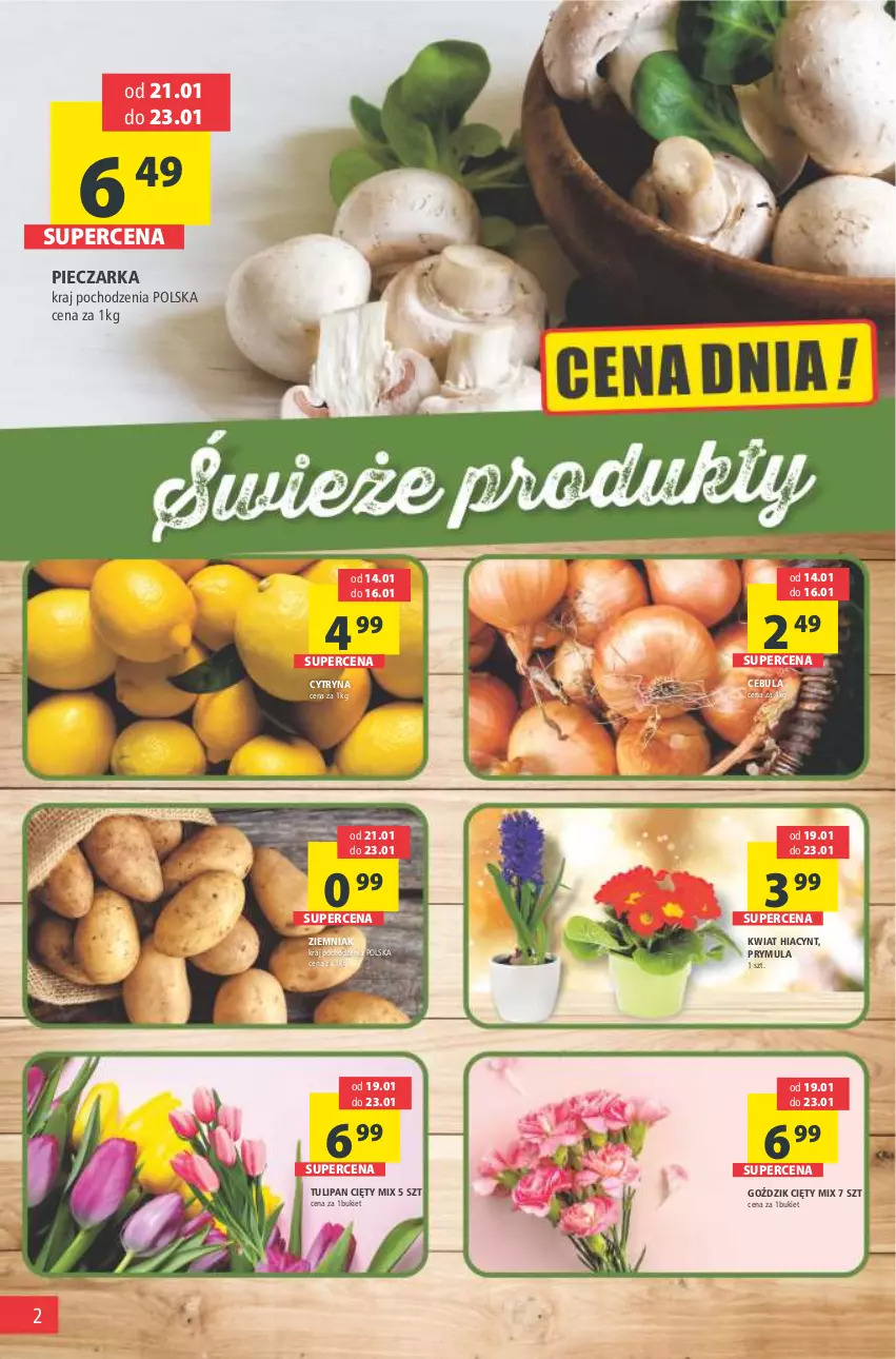 Gazetka promocyjna Arhelan - Gazetka - ważna 14.01 do 23.01.2022 - strona 2 - produkty: Bukiet, Cebula, Hiacynt, Piec, Pieczarka, Prymula, Tulipan