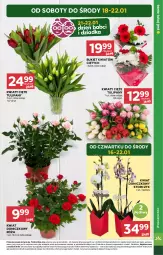 Gazetka promocyjna Stokrotka - Supermarket Opole/Radom - Gazetka - ważna od 22.01 do 22.01.2025 - strona 9 - produkty: Warzywa, Tulipan, Róża, Kwiaty cięte, Storczyk, Bukiet, Owoce, Mięso