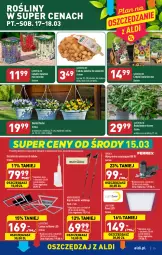 Gazetka promocyjna Aldi - Pełen katalog - Gazetka - ważna od 18.03 do 18.03.2023 - strona 19 - produkty: Cebula, Sok, Gra, Kije, O nas, Wyrzynarka, Szczoteczka soniczna, Dron, Lampa sufitowa, Lampa, Szczoteczka