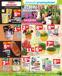 Gazetka promocyjna Topaz - Gazetka - Gazetka - ważna od 01.04 do 01.04.2026 - strona 30 - produkty: Kurczak, Tulipan, Rzeżucha, Storczyk, Bukiet, Nawóz