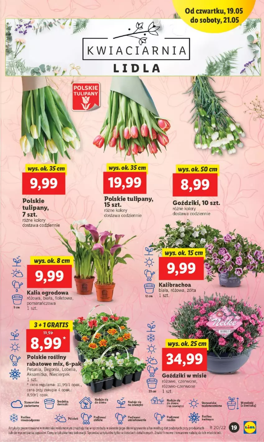 Gazetka promocyjna Lidl - GAZETKA - ważna 19.05 do 21.05.2022 - strona 19 - produkty: Aksam, Masło, Tulipan