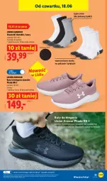 Gazetka promocyjna Lidl - Katalog ważny od 15.06 - Gazetka - ważna od 20.06 do 20.06.2026 - strona 41 - produkty: Buty, Karp, Skarpetki