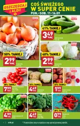 Gazetka promocyjna Aldi - Pełna oferta - Gazetka - ważna od 16.09 do 16.09.2023 - strona 2 - produkty: Cebula, Seler korzeń, Papryka, Buraki, Bazyl, Brokuły, Bazylia, Grunt, Pomidory