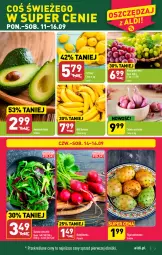 Gazetka promocyjna Aldi - Pełna oferta - Gazetka - ważna od 16.09 do 16.09.2023 - strona 3 - produkty: Banany, Cebula, Cebula szalotka, Kaktus, Cytryny, Szal, Sałat, Winogrona, Wino, Rzodkiewka