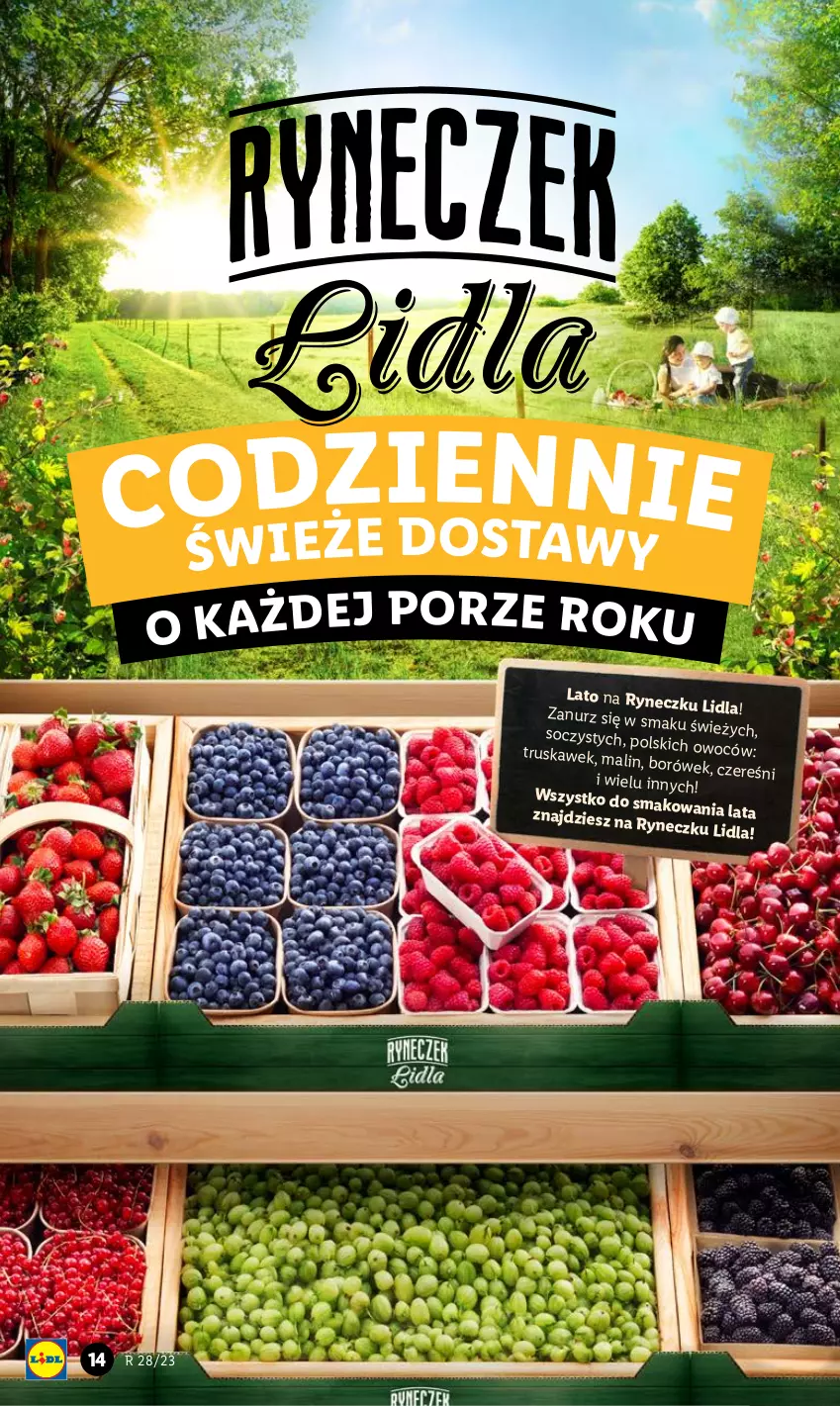 Gazetka promocyjna Lidl - GAZETKA - ważna 10.07 do 12.07.2023 - strona 15