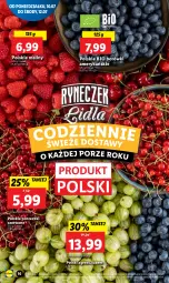 Gazetka promocyjna Lidl - GAZETKA - Gazetka - ważna od 12.07 do 12.07.2023 - strona 17 - produkty: Por, Porzeczki czerwone, Maliny, Gres