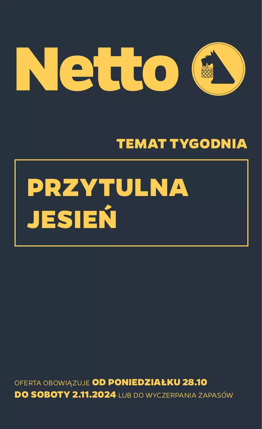 Gazetka promocyjna Netto - Akcesoria i dodatki - ważna 28.10 do 02.11.2024 - strona 1