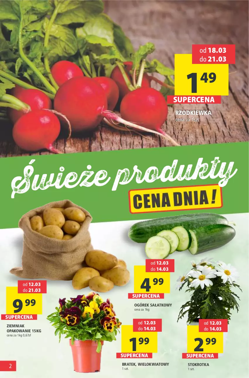 Gazetka promocyjna Arhelan - Gazetka - ważna 12.03 do 21.03.2021 - strona 2 - produkty: Ogórek, Rzodkiewka, Sałat