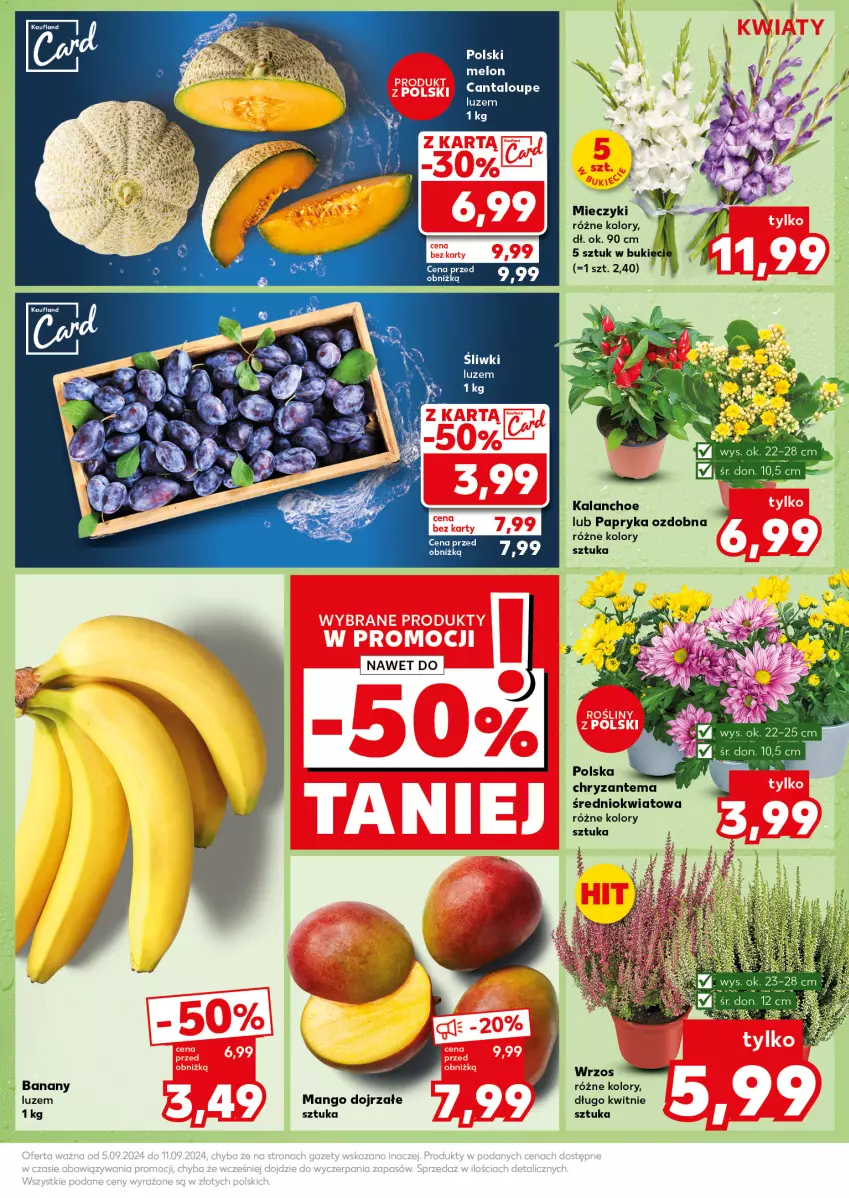 Gazetka promocyjna Kaufland - Kaufland - ważna 09.09 do 11.09.2024 - strona 7 - produkty: Banany, Chryzantema, Kalanchoe, Mango, Melon, Papryka