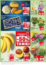 Gazetka promocyjna Kaufland - Kaufland - Gazetka - ważna od 11.09 do 11.09.2024 - strona 7 - produkty: Banany, Chryzantema, Papryka, Kalanchoe, Mango, Melon