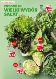 Gazetka promocyjna Kaufland - Kaufland - Gazetka - ważna od 11.09 do 11.09.2024 - strona 8 - produkty: Rukola, Sałat, Grunt