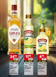 Gazetka promocyjna Delikatesy Centrum - Delibarek DC26-DC27 - Gazetka - ważna od 06.07 do 06.07.2025 - strona 9 - produkty: Soplica, Napój