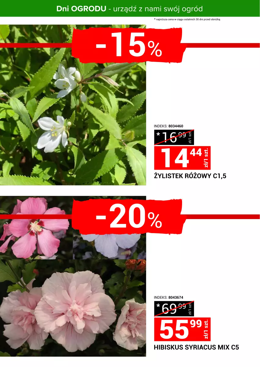 Gazetka promocyjna Merkury Market - Urządź z nami swój ogród - ważna 24.04 do 30.04.2025 - strona 2 - produkty: Hibiskus, Ogród, Stek