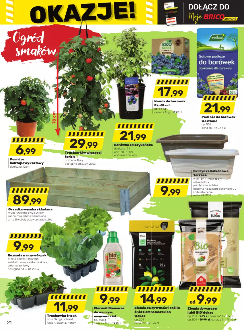 Gazetka promocyjna Bricomarche - Gazetka - ważna 19.04 do 30.04.2023 - strona 23 - produkty: Borówka, Borówka amerykańska, Masło, Nawóz, Ogród, Por, Sałat, Sałata lodowa, Sałata masłowa, Sok, Truskawki
