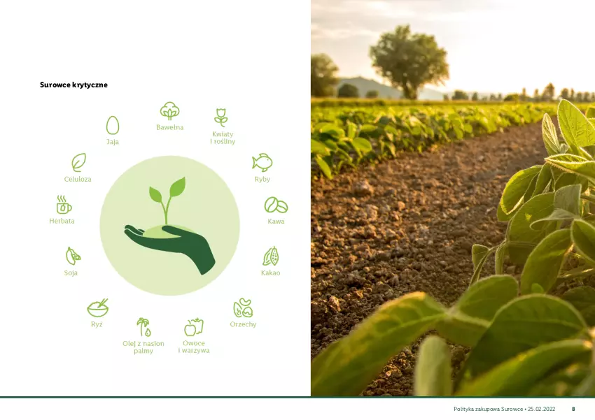 Gazetka promocyjna Lidl - Polityka zakupowa Surowce - ważna 25.02.2022 do 25.02.2030 - strona 9