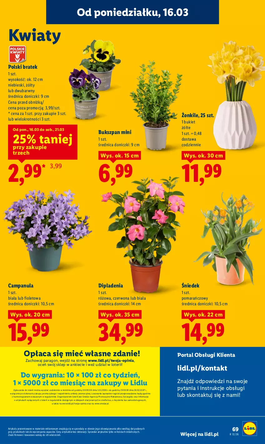 Gazetka promocyjna Lidl - Gazetka ważna od 16.03 do 18.03 - ważna 16.03 do 18.03.2026 - strona 71 - produkty: Bukiet, Campanula, Gra, Laur, Mola, Por, Portal, Sok