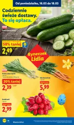 Gazetka promocyjna Lidl - Gazetka ważna od 16.03 do 18.03 - Gazetka - ważna od 18.03 do 18.03.2026 - strona 30 - produkty: Cebula, Ogórek