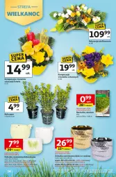 Gazetka promocyjna Auchan - Gazetka 30 Lat Hipermarket Auchan - Gazetka - ważna od 18.03 do 18.03.2026 - strona 16 - produkty: Por, Rzeżucha, Osłonka