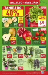 Gazetka promocyjna Aldi - Pełna oferta - Gazetka - ważna od 27.04 do 27.04.2025 - strona 27 - produkty: Sok, Gra, Róża, Granat, Truskawki, Stek, Dron, Siatka, Gruszki, Szyna, Bazyl, Bazylia