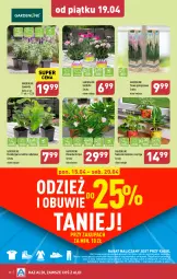 Gazetka promocyjna Aldi - Pełna oferta - Gazetka - ważna od 20.04 do 20.04.2024 - strona 28 - produkty: Sok, Obuwie