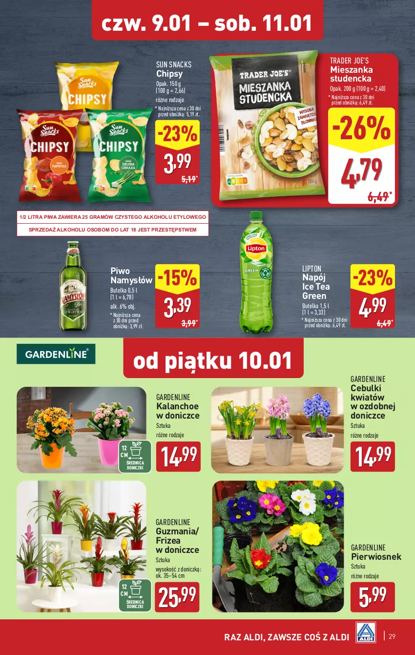 Gazetka promocyjna Aldi - Pełna oferta - ważna 07.01 do 11.01.2025 - strona 29 - produkty: Chipsy, Gra, Ice tea, Kalanchoe, Lipton, Mieszanka studencka, Namysłów, Napój, Piwa, Piwo, Sok