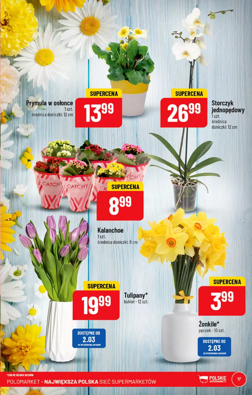 Gazetka promocyjna PoloMarket - Gazetka pomocyjna - ważna 01.03 do 07.03.2023 - strona 17 - produkty: Bukiet, Kalanchoe, Storczyk, Tulipan