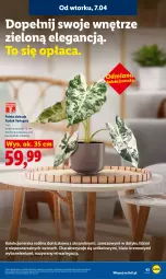 Gazetka promocyjna Lidl - Gazetka ważna od 7.04 do 8.04 - Gazetka - ważna od 08.04 do 08.04.2026 - strona 47 - produkty: Aksam