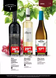 Gazetka promocyjna Delikatesy Centrum - Delibarek DC28-DC29 - Gazetka - ważna od 20.07 do 20.07.2025 - strona 7 - produkty: Ser, Por, Wino, Pinot Grigio