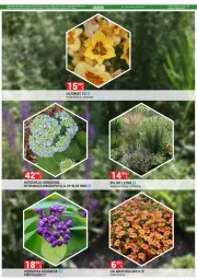 Gazetka promocyjna Merkury Market - Gazetka - ważna od 31.05 do 31.05.2025 - strona 12 - produkty: Chrzan, Fusion