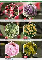 Gazetka promocyjna Merkury Market - Gazetka - ważna od 31.05 do 31.05.2025 - strona 13 - produkty: Chrzan, Tran, Okap