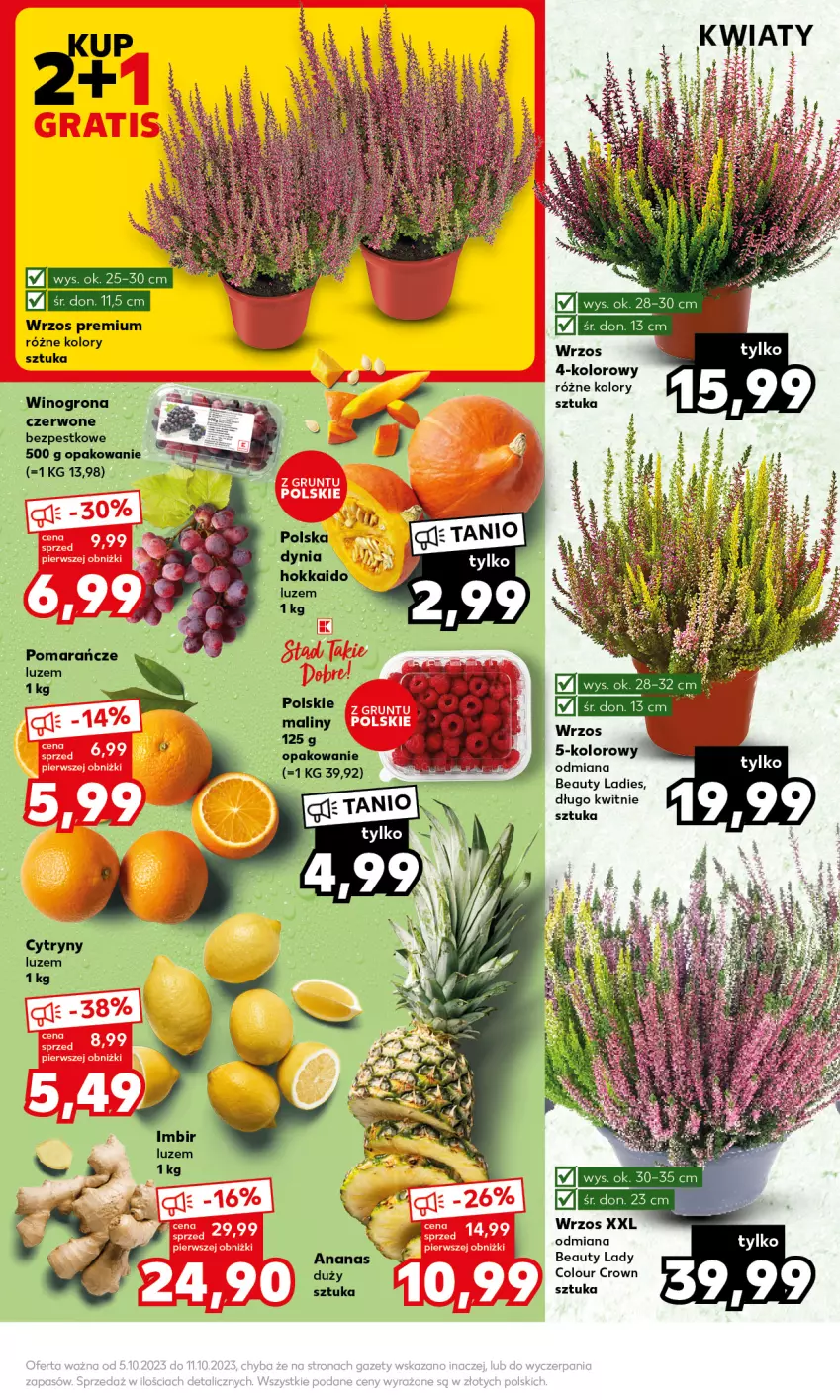 Gazetka promocyjna Kaufland - Mocny Start - ważna 09.10 do 11.10.2023 - strona 5 - produkty: Ananas, Dior, Maliny, Pomarańcze, Wino, Winogrona