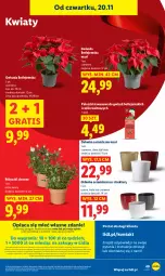 Gazetka promocyjna Lidl - GAZETKA - Gazetka - ważna od 22.11 do 22.11.2025 - strona 53 - produkty: Por, Gra, Portal, Gwiazda, Laur, Mola, Osłonka