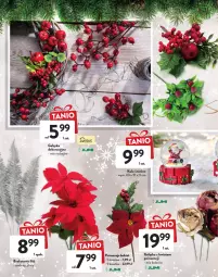 Gazetka promocyjna Intermarche - Gazetka Intermarche - Gazetka - ważna od 30.11 do 30.11.2022 - strona 6 - produkty: Por, Kula śnieżna, Bukiet