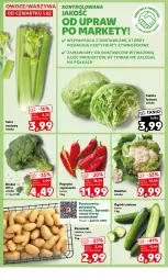 Gazetka promocyjna Kaufland - Mocny Start - Gazetka - ważna od 07.02 do 07.02.2024 - strona 14 - produkty: Piec, Kalafior, Warzywa, Sałata lodowa, Papryka, Ziemniaki, Sałat, Półka, Szpic, Owoce, Seler naciowy