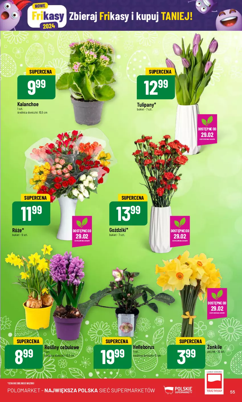 Gazetka promocyjna PoloMarket - Gazetka pomocyjna - ważna 28.02 do 05.03.2024 - strona 55 - produkty: Bukiet, Kalanchoe, Tulipan, Wazon