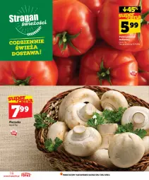 Gazetka promocyjna Topaz - Gazetka - Gazetka - ważna od 10.06 do 10.06.2026 - strona 16 - produkty: Piec, Top, Pieczarka