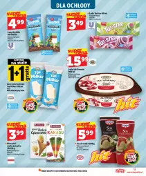 Gazetka promocyjna Topaz - Gazetka - Gazetka - ważna od 10.06 do 10.06.2026 - strona 9 - produkty: Top, Sos, Big Milk, Wafle do lodów, Wafle, Lody