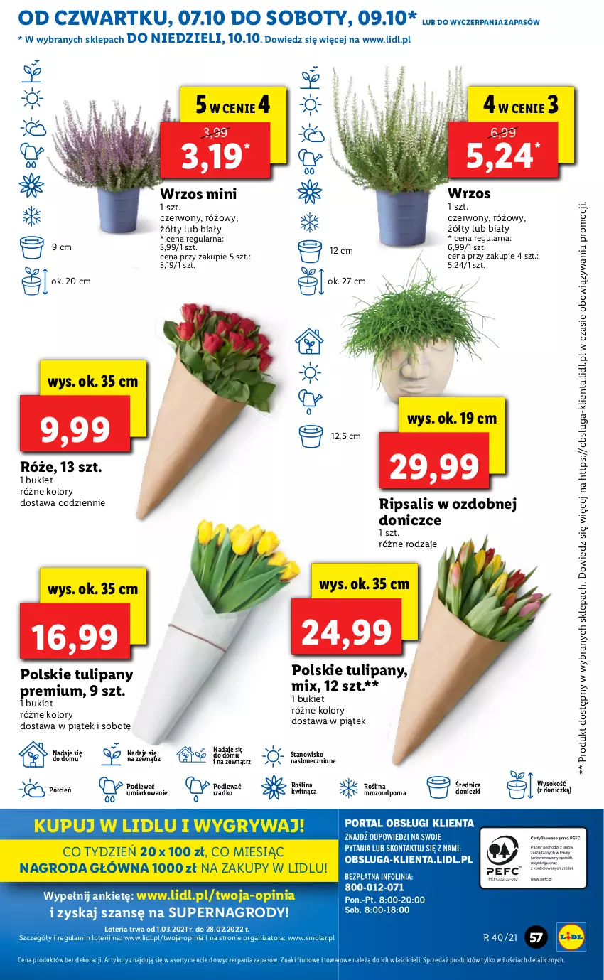 Gazetka promocyjna Lidl - GAZETKA - ważna 07.10 do 10.10.2021 - strona 58 - produkty: Bukiet, Cień, Gry, Mola, O nas, Por, Sok, Tulipan