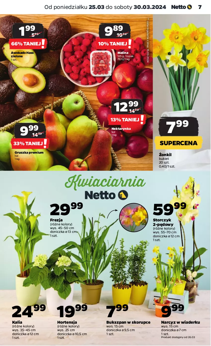 Gazetka promocyjna Netto - Artykuły spożywcze - ważna 25.03 do 30.03.2024 - strona 7 - produkty: Bukiet, Narcyz, Nektar, Nektarynka, Storczyk