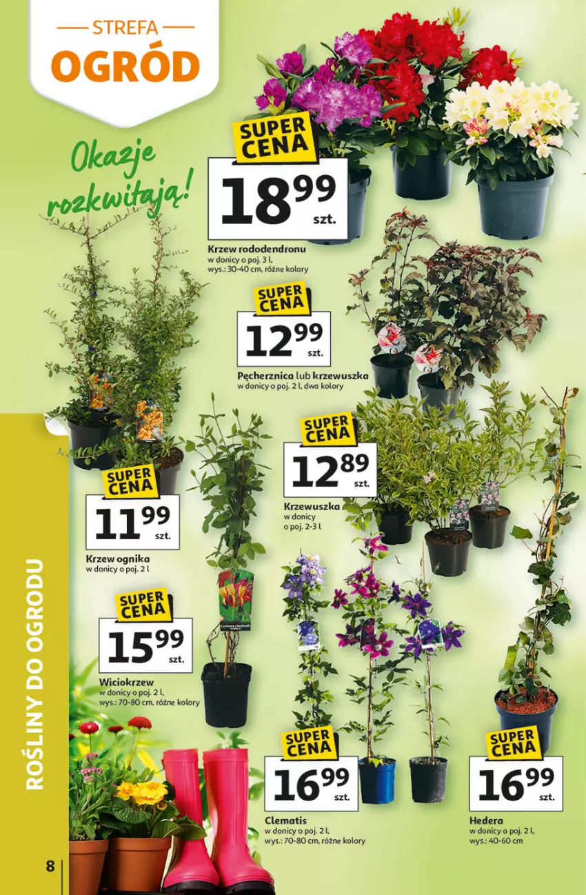 Gazetka promocyjna Auchan - Gazetka 30 Lat Hipermarket Auchan - ważna 09.04 do 15.04.2026 - strona 8 - produkty: Dron, Fa