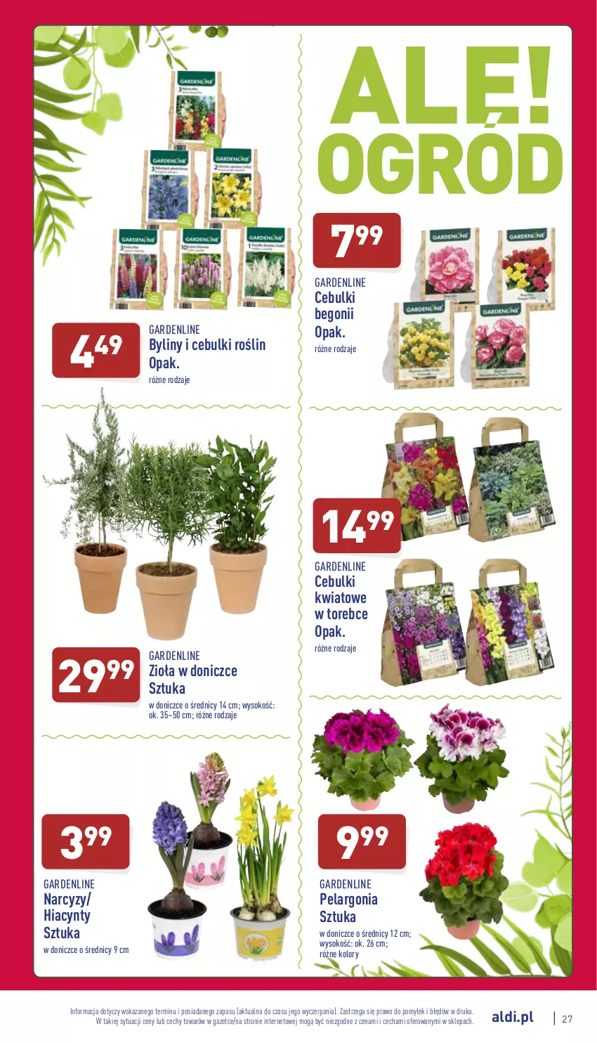 Gazetka promocyjna Aldi - Katalog spożywczy - ważna 07.03 do 12.03.2022 - strona 27 - produkty: Hiacynt, Narcyz, Sok, Zioła w doniczce