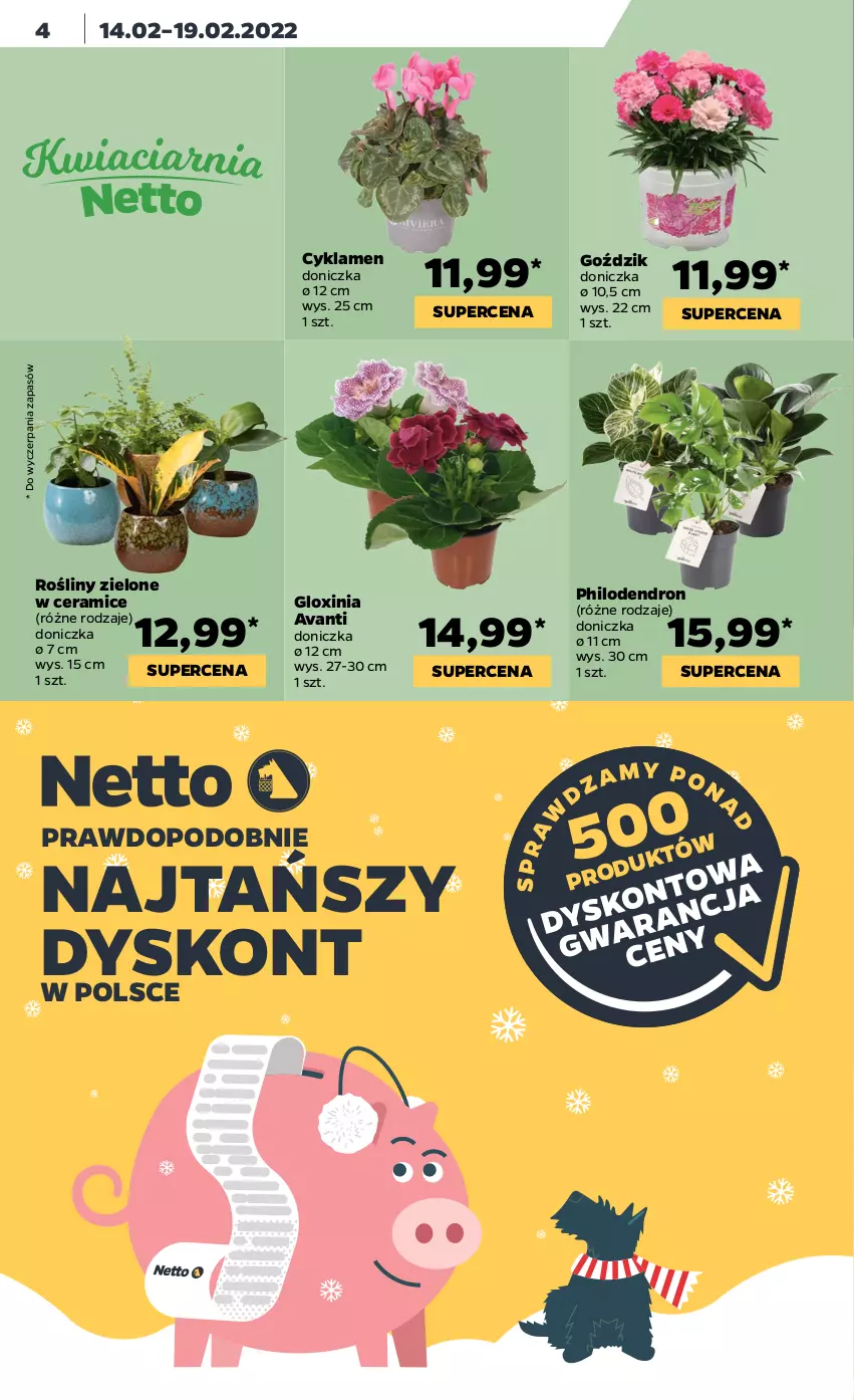 Gazetka promocyjna Netto - Gazetka spożywcza - ważna 14.02 do 19.02.2022 - strona 4 - produkty: Cyklamen, Dron