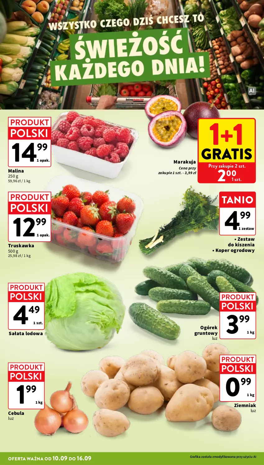 Gazetka promocyjna Intermarche - Gazetka Intermarche - ważna 10.09 do 16.09.2026 - strona 10 - produkty: Cebula, Gra, Grafika, Grunt, Ogórek, Sałat, Sałata lodowa