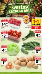 Gazetka promocyjna Intermarche - Gazetka Intermarche - Gazetka - ważna od 16.09 do 16.09.2026 - strona 10 - produkty: Cebula, Gra, Sałata lodowa, Ogórek, Sałat, Grunt, Grafika
