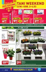 Gazetka promocyjna Aldi - Pełny katalog - Gazetka - ważna od 04.03 do 04.03.2023 - strona 20 - produkty: Bell, Tablet, Wkładki urologiczne, Dove, Mydło, Wkładki, Nawóz, Folia aluminiowa