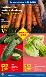 Gazetka promocyjna Lidl - Gazetka ważna od 10.08 do 11.08 - Gazetka - ważna od 11.08 do 11.08.2026 - strona 42 - produkty: Sałat, Grunt